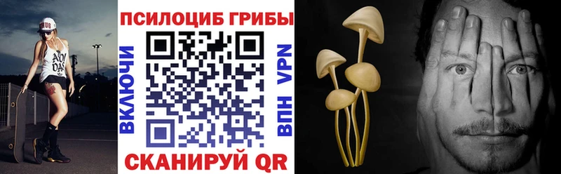 Галлюциногенные грибы прущие грибы  Купить  Семилуки 